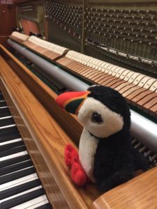Puffy the puffin at a piano
