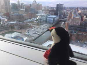 Puffy admiring a view of Baltimore