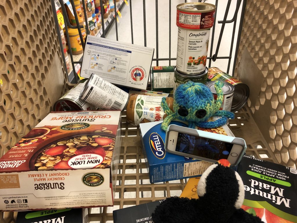 Puffy the puffin taking a picture of Brainy the octopus on their foodbank groceries
