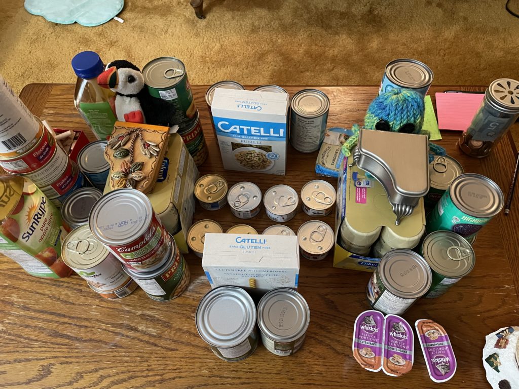 A picture of stacks of cans of food bank food arranged into a mini concert hall